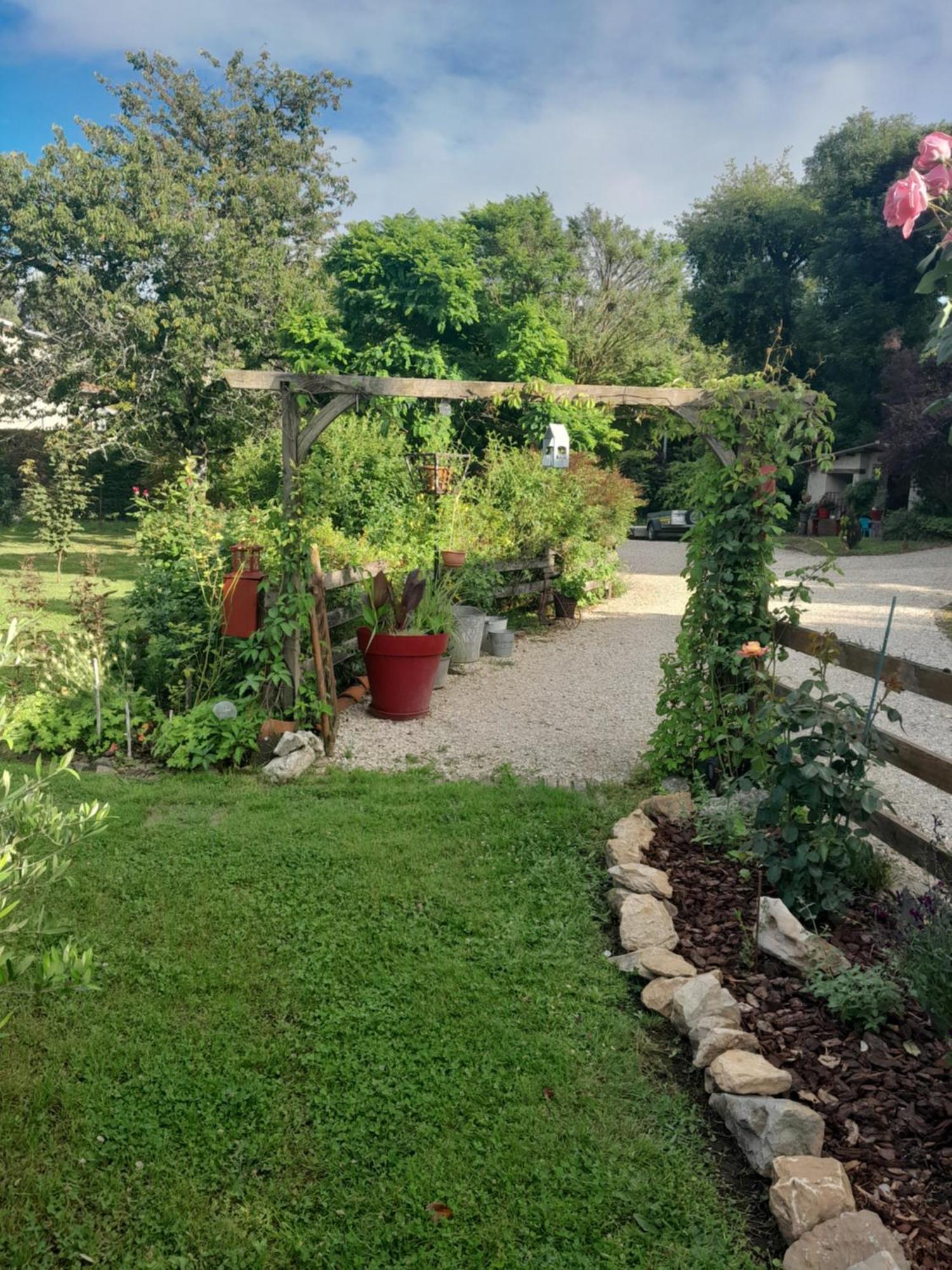 Chambre D'Hote Amitie Et Jardin Carmaux Dış mekan fotoğraf
