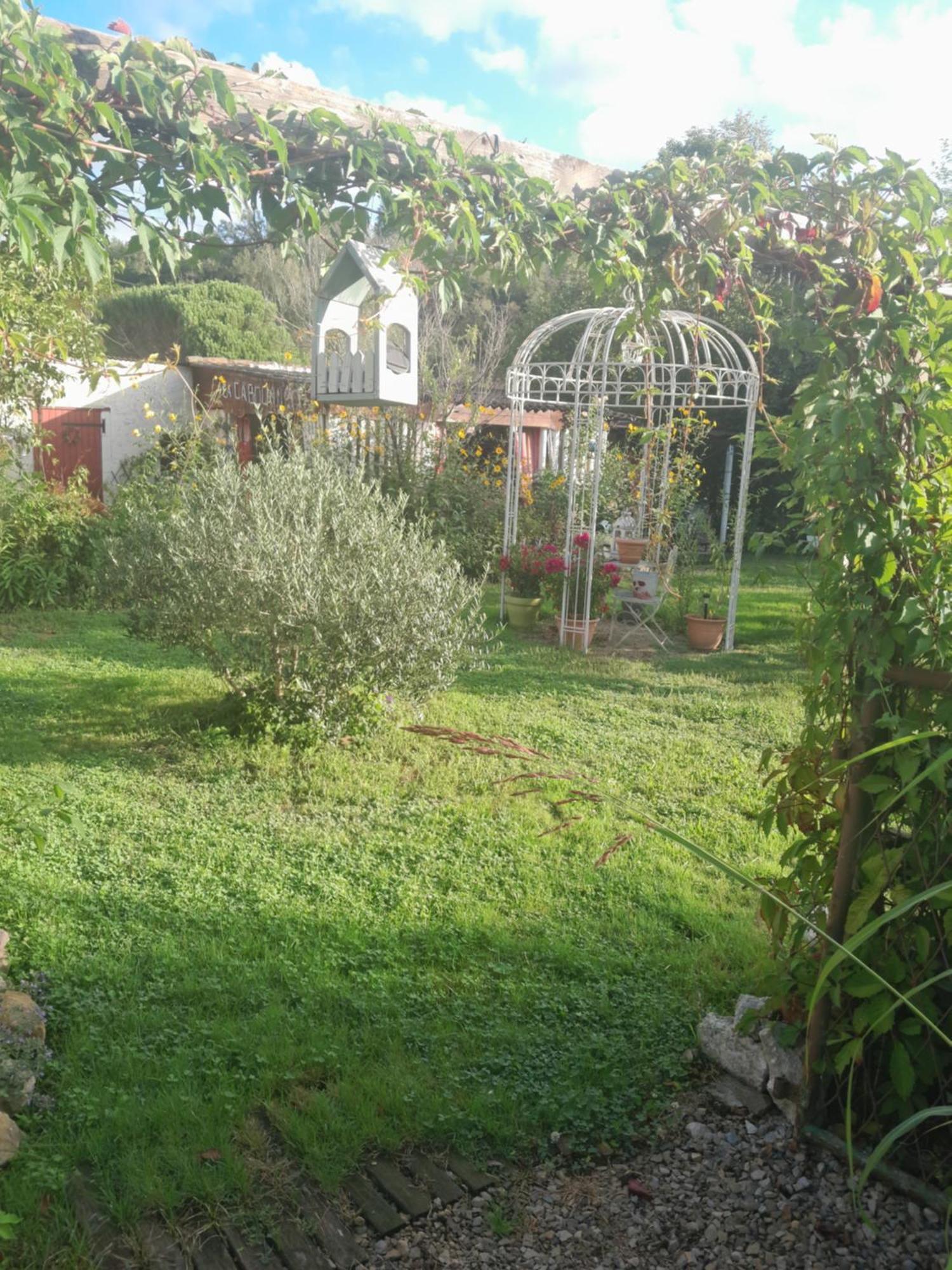 Chambre D'Hote Amitie Et Jardin Carmaux Dış mekan fotoğraf
